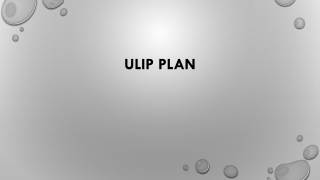 ULIP PLAN