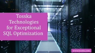 Why Choose Tosska’s Tools for Database Query Optimization