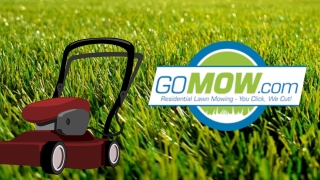 Buy Affordable Lawn Mowing and Lawn Care Services for 2021 in Dallas