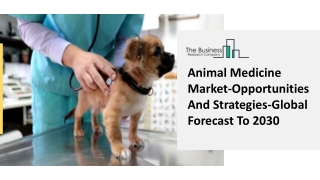 Animal Medicine Market-Opportunities And Strategies-Global Forecast To 2030