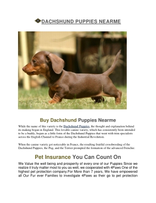 dachshund puppies near me