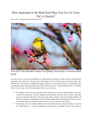 How Important Is the Bird Seed That You Use for Your Pet’s Lifestyle