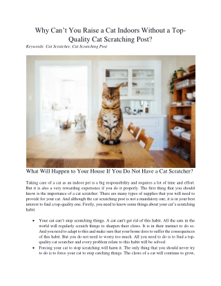 Why Can’t You Raise a Cat Indoors Without a Top-Quality Cat Scratching Post