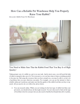 How Can a Reliable Pet Warehouse Help You Properly Raise Your Rabbit