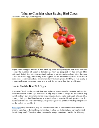What to Consider when Buying Bird Cages