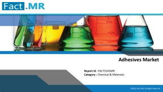 Adhesives Market