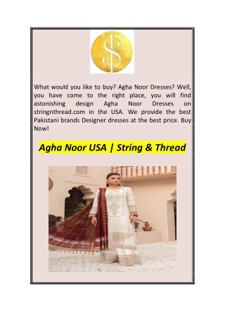 Agha Noor USA  String & Thread1