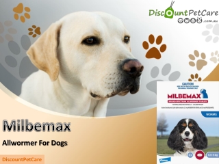 Buy Milbemax Allwormer For Dogs Online - DiscountPetCare