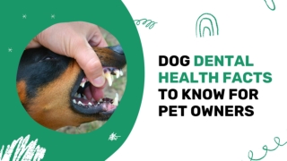 Dog Dental Health Facts To Know For Pet Owners