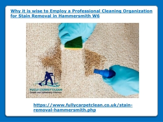 Why it is wise to Employ a Professional Cleaning Organization