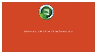 SAP S4 HANA Migration