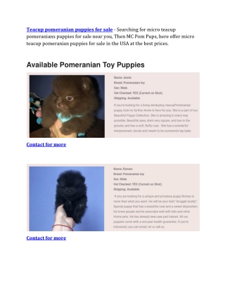Teacup pomeranian puppies for sale