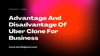 Advantage And Disadvantage Of Uber Clone For Business