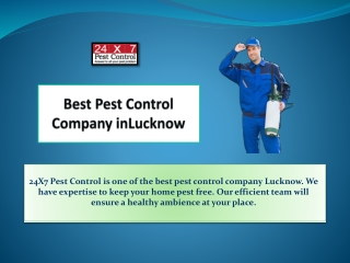 Best Pest Control Company in Lucknow
