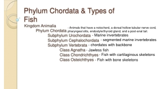 Chordates, Cartilaginous & Bony Fish