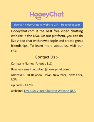 Live USA Video Chatting Website USA | Hooeychat.com