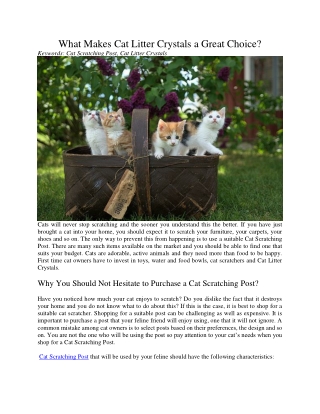 What Makes Cat Litter Crystals a Great Choice