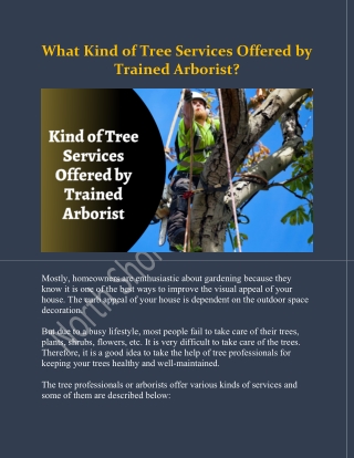 What Kind of Tree Services Offered by Trained Arborist?