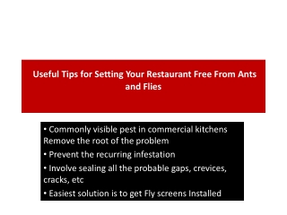 Useful Tips for Setting Your Restaurant Free From Ants and Flies