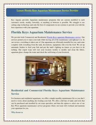 Luxury Florida Keys Aquarium Maintenance Service Provider