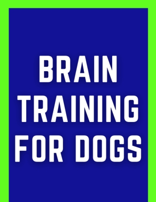 Brain Training For Dogs