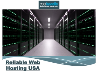 Reliable Web Hosting USA