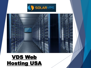 VDS Web Hosting USA