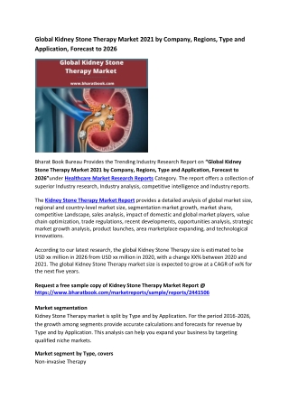 Global Kidney Stone Therapy Market Research Report 2021-2026
