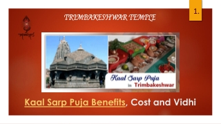 Kaal Sarp Puja Benefits, Cost and vidhi In Trimbakeshwar