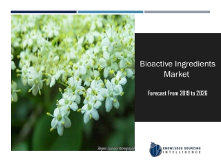 Bioactive Ingredients Market