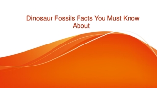 Dinosaur Fossils Facts You Must Know About