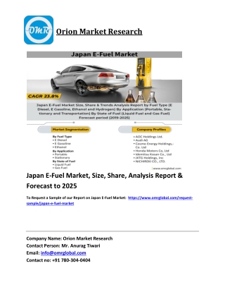Japan E-Fuel Market Trends, Size, Competitive Analysis and Forecast 2019-2025