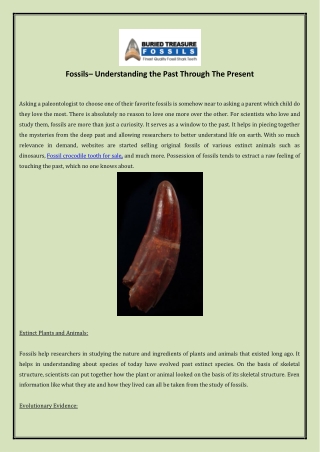 Fossils– Understanding the Past Through The Present