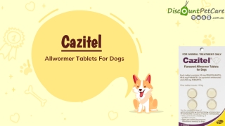 Buy Cazitel Allwormer Tablets For Dogs Online - DiscountPetCare