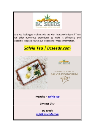Salvia Tea  Bcseeds.com