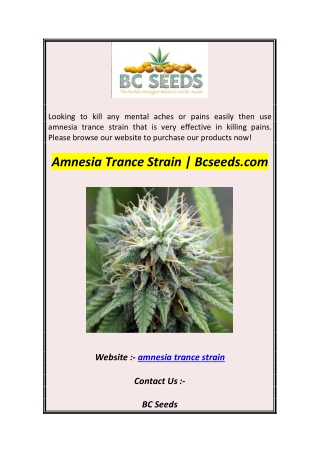Amnesia Trance Strain  Bcseeds.com