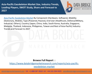 Asia-Pacific Exoskeleton Market Size, Industry Trends, Leading Players, SWOT Study, Share and Forecast to 2027