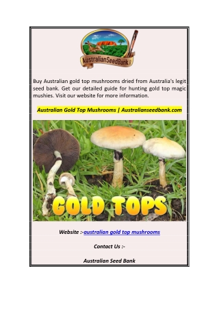 Australian Gold Top Mushrooms  Australianseedbank.com