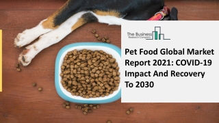 Pet Food Market Emerging Key Players, Growth Analysis and Precise Outlook 2021-2