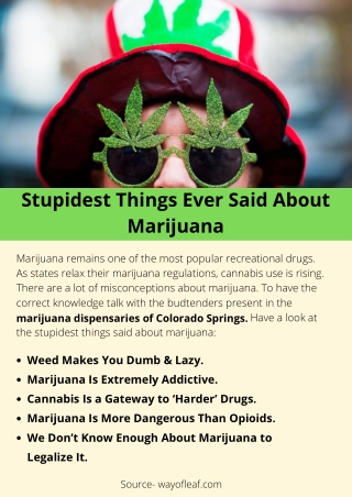 Stupidest Things Ever Said About Marijuana