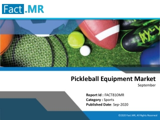 Adoption of digital platforms to boost Pickleball Equipment market