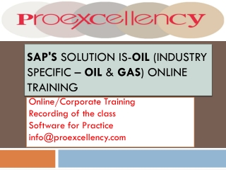 Proexcellency Provides SAP Solution IS-Oil Online Training