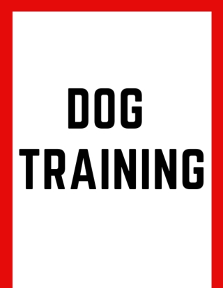 dog training