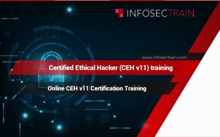 Online CEH v11 Certification Training
