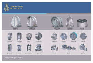 catalogue-check valve