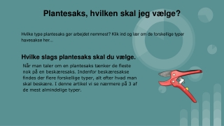 Plantesaks, hvilken skal jeg vælge?
