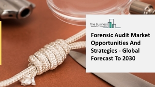 Forensic Audit Market Production Information Analysis And Forecast To 2025