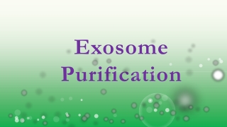 Exosome Purification (20210501)