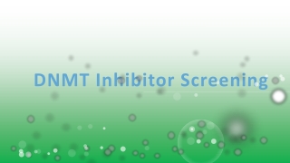 DNMT Inhibitor Screening