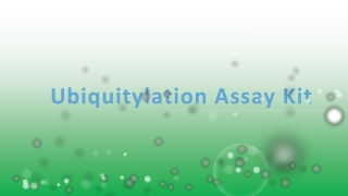 Ubiquitylation Assay Kit